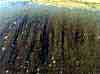 wpe256.jpg (94653 octets)