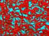 wpe1A1.jpg (124953 octets)