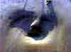 wpe1A3.jpg (110272 octets)