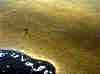 wpe1C4.jpg (96362 octets)