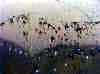 wpe274.jpg (95410 octets)