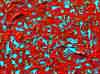 wpe282.jpg (124691 octets)