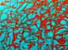 wpe140.jpg (129399 octets)