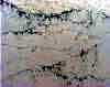 wpe73.jpg (105644 octets)