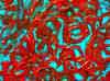 wpe91.jpg (113941 octets)