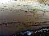 wpe12A.jpg (77919 octets)