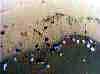 wpeF7.jpg (87566 octets)
