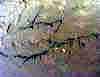 wpe6.jpg (102468 octets)