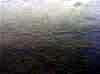 wpe207.jpg (116355 octets)