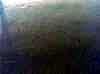 wpe230.jpg (95204 octets)