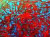 wpe236.jpg (117683 octets)