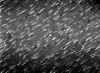 wpe1D5.jpg (37996 octets)