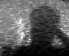 wpe1D7.jpg (24013 octets)
