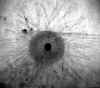 wpe1B6.jpg (30104 octets)