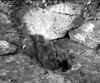 wpe1B8.jpg (29170 octets)