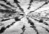 wpe242.jpg (27608 octets)