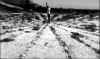 wpe244.jpg (23755 octets)