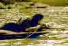 0302.jpg (125765 octets)