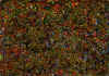 aquarelle_12.jpg (64557 octets)