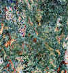 aquarelle_17.jpg (46784 octets)