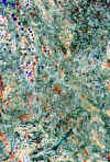 aquarelle_42.jpg (54822 octets)