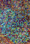 aquarelle_53.jpg (102722 octets)