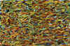 aquarelle_56.jpg (59421 octets)