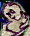 aquarelle_8.jpg (21171 octets)