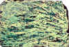 007.jpg (268171 octets)