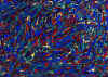a002.jpg (114336 octets)