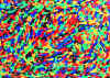 a010.jpg (99451 octets)