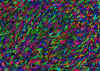 a018.jpg (172078 octets)