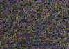 a020.jpg (190345 octets)