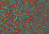 a028.jpg (102154 octets)