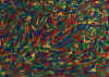002.jpg (57773 octets)