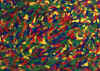 006.jpg (38910 octets)
