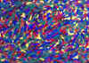 006b.jpg (40733 octets)