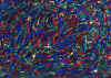008.jpg (60862 octets)