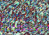 010.jpg (104007 octets)