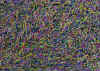 012.jpg (98168 octets)