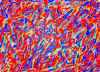 018.jpg (123312 octets)
