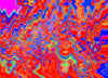 021.jpg (60136 octets)
