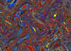 025.jpg (151924 octets)