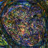 24.jpg (58927 octets)