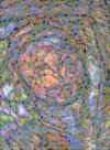 43.jpg (61489 octets)