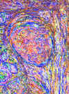 47.jpg (112300 octets)