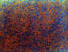 001.jpg (72796 octets)