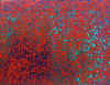 002.jpg (62157 octets)
