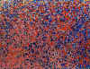 008.jpg (77149 octets)