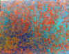 009.jpg (52441 octets)